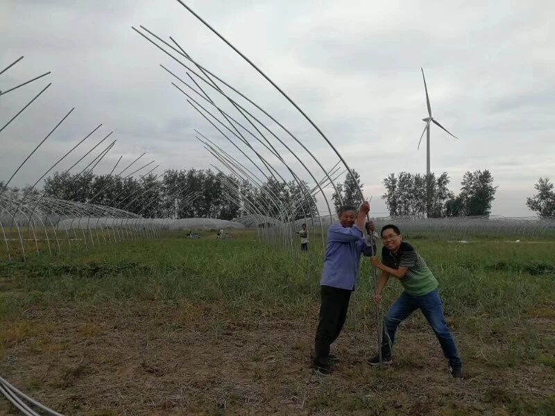 1763105131952.jpg 1763105131952.jpg